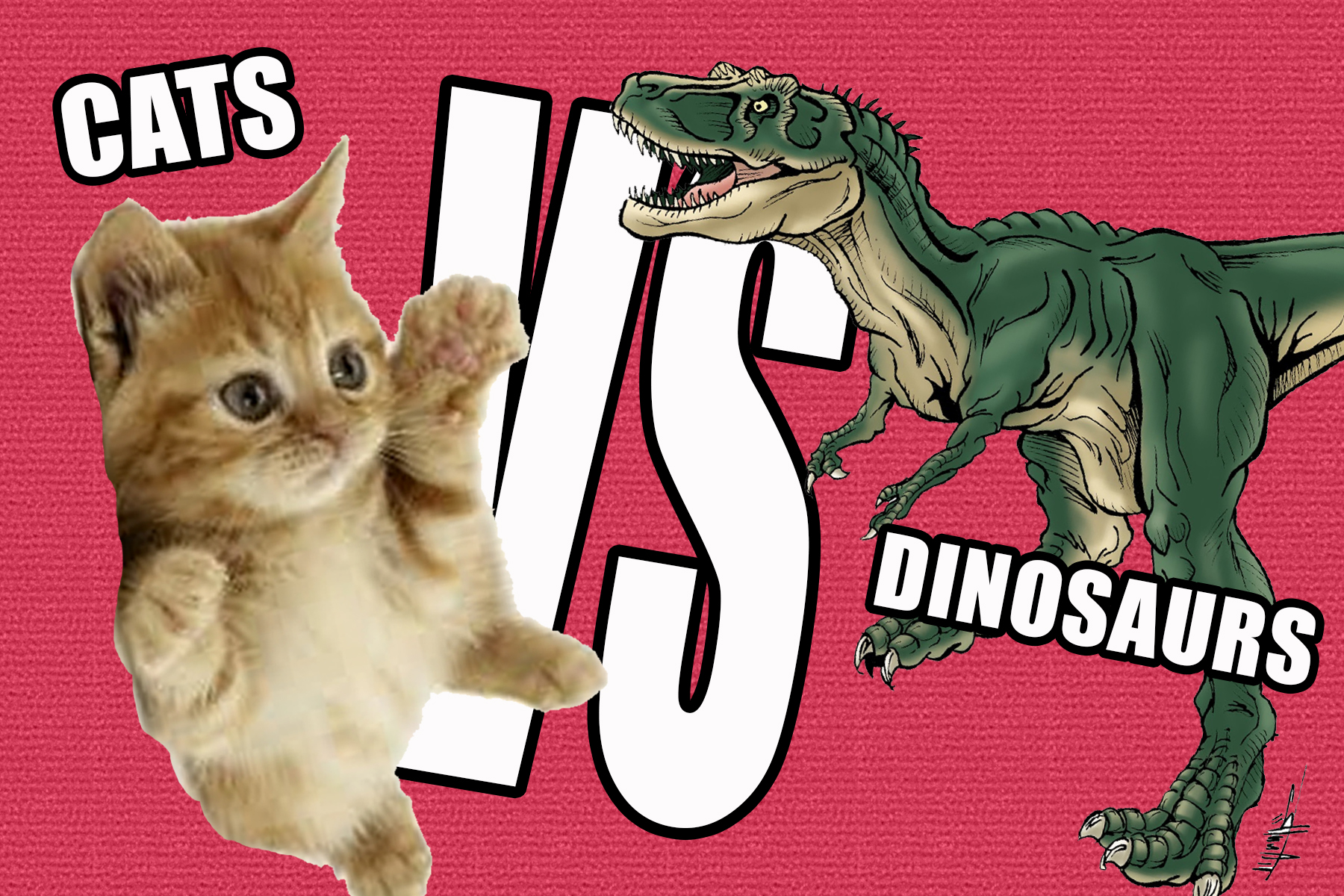 Cat's Bizarre Meow Compared to 'Velociraptor' in Hilarious Clip